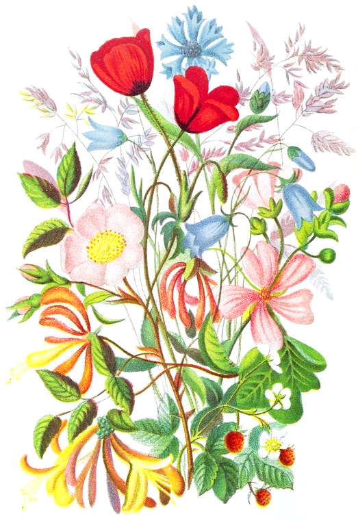 German Folk Flower Art